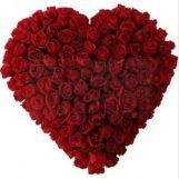 Lovely rose, 36 years old, Doha, Qatar