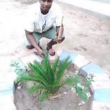Lamine sonko, 29 years old, Bignona, Senegal
