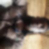solomon quaye, 34 years old, Accra, Ghana