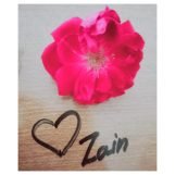 Zainii, 23 years old, Gujranwala, Pakistan