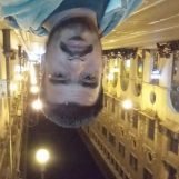 Eduardo meneses, 38 years old, Palma, Spain